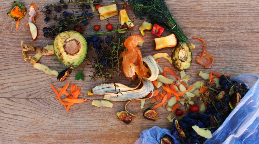 foodsolution_crop.jpg